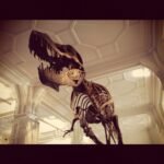 Esqueleto fóssil de dinossauro em museu