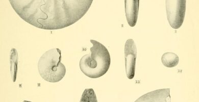 Frascos e materiais de medicina e ciência