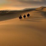 Caravana de camelos atravessando o deserto na antiga Rota da Seda