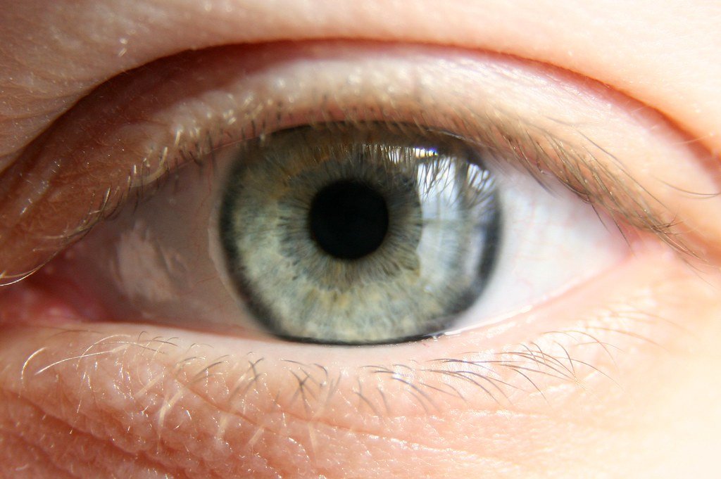 Close-up do olho humano com foco na íris
